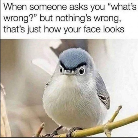 Raviva summer time cotton teal blue , scalloped lace trim camisole - Picture 11 of 12